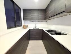 Sims Urban Oasis (D14), Condominium #576534421